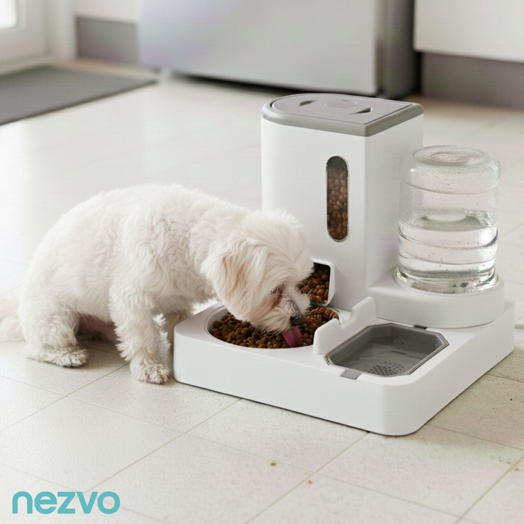 Distributeur Automatique Eau Et Croquettes