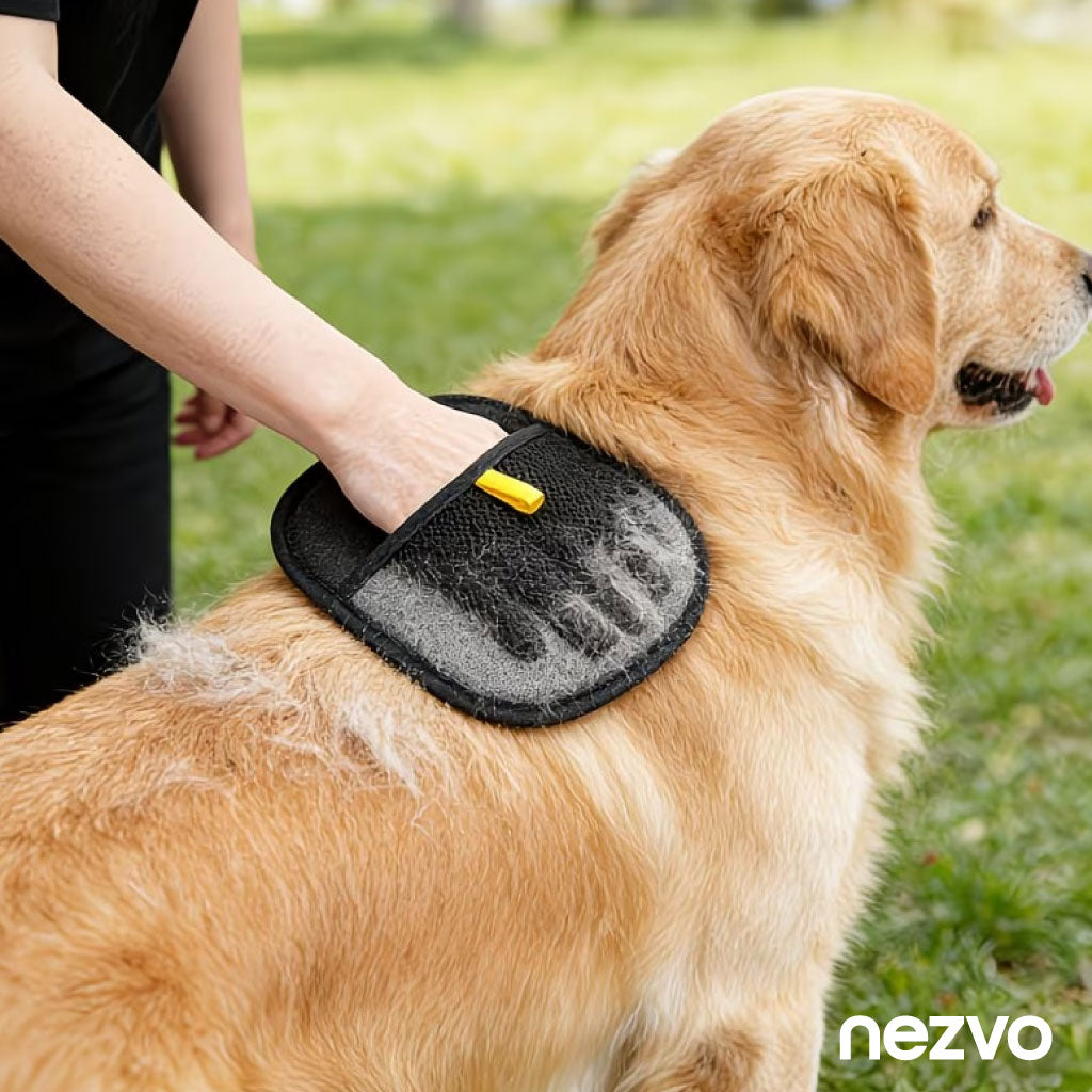 Gant Attrape-Poils Réutilisable