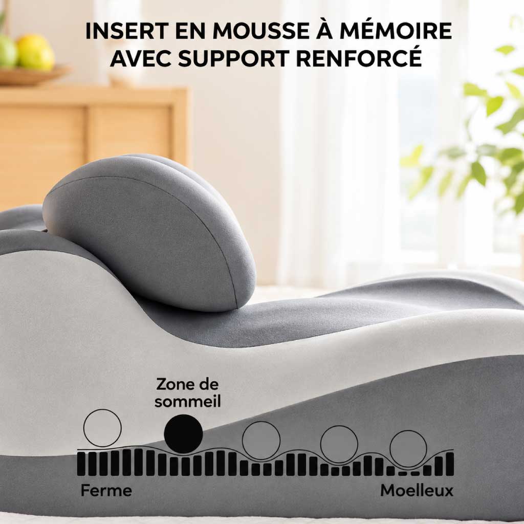 Coussin Ergonomique Confort du Dos