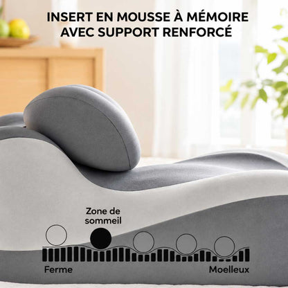 Coussin Ergonomique Confort du Dos