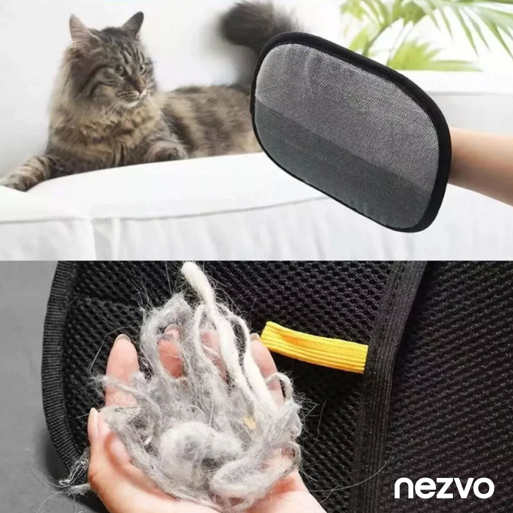 Gant Attrape-Poils Réutilisable