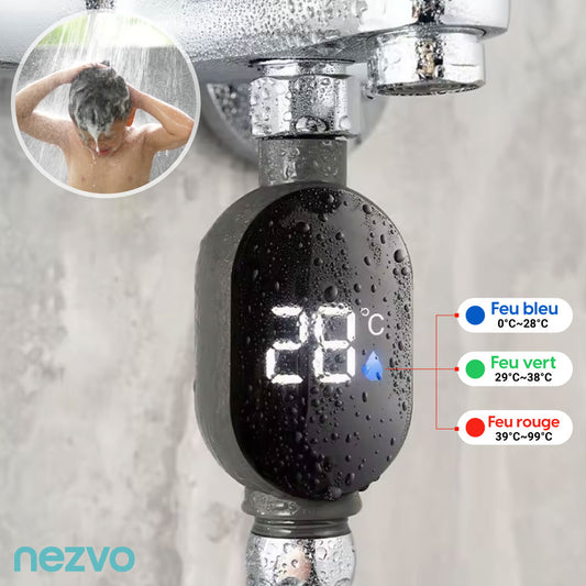 Thermomètre de Douche Numérique LED