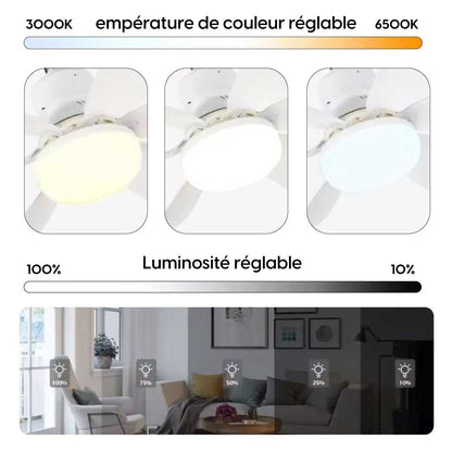 Lampe Ventilateur de Plafond 2-en-1