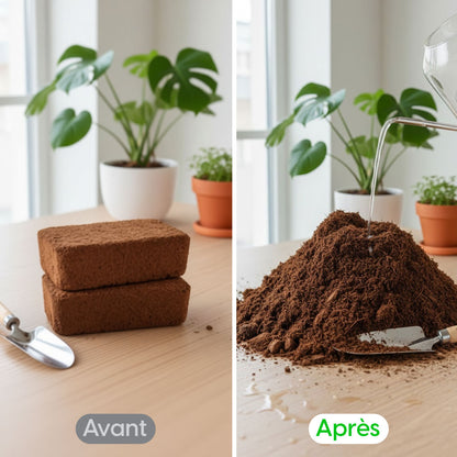 Brique de Terreau Organique Expansible